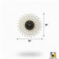 Wall Arts-3509